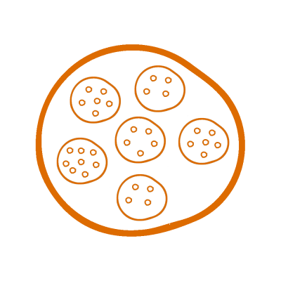 tot-orange tot-orange